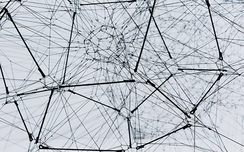 Web of Needs