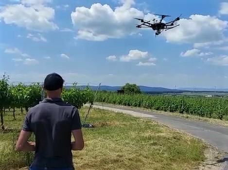 Drohne fliegt über Weingärten.